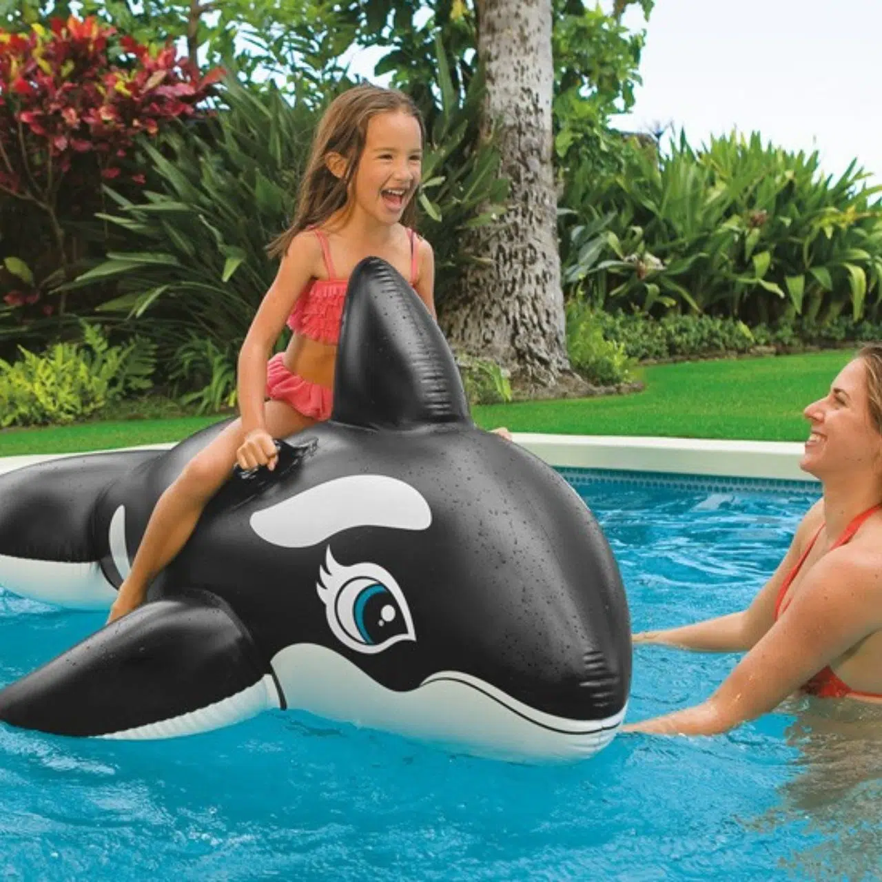 Baleine De Natation Gonflable INTEX | عوامة سباحة للركوب قابلة للنفخ - الدولفين الصغير