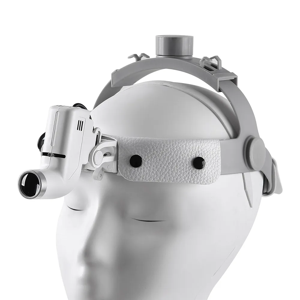 Lampe de chirurgie et dentaire 5W