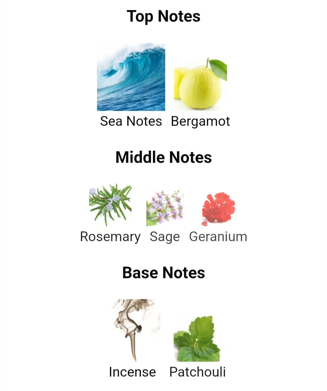 AQUA DI GIO PROFUMO