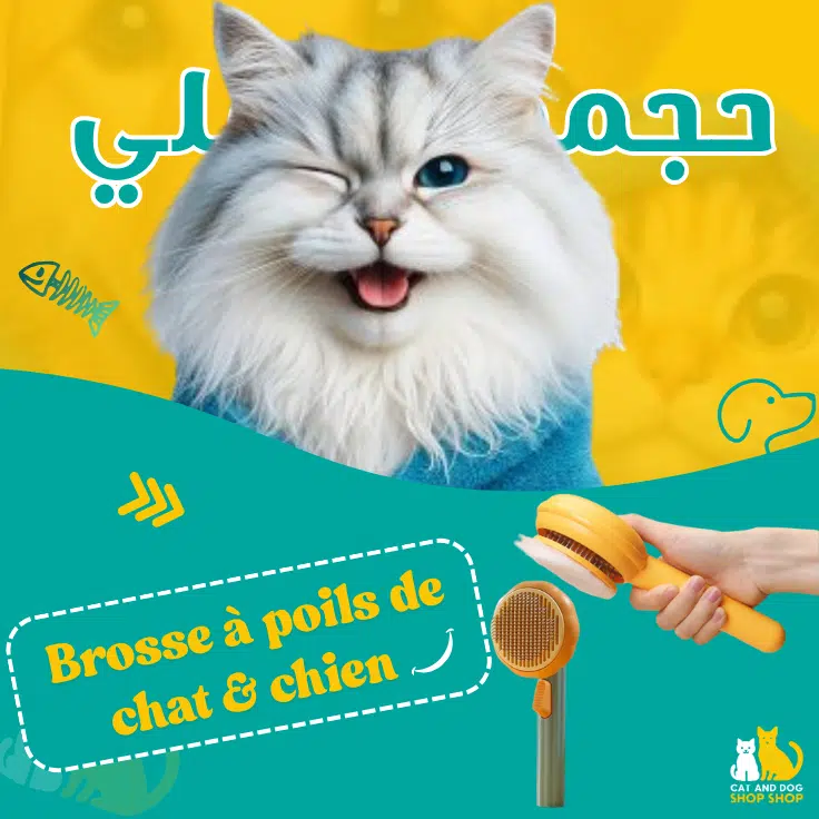 Brosse Auto nettoyante Pour Chiens Et Chats Avec Bouton