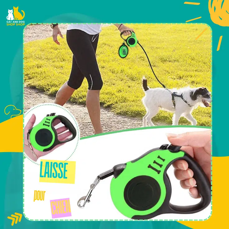 Laisse pour chien  Sécurité et Liberté pour Vos Promenades