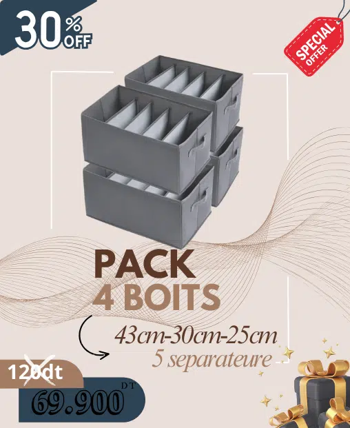 4 Boîtes de Rangement Pliable avec 5 Compartiments