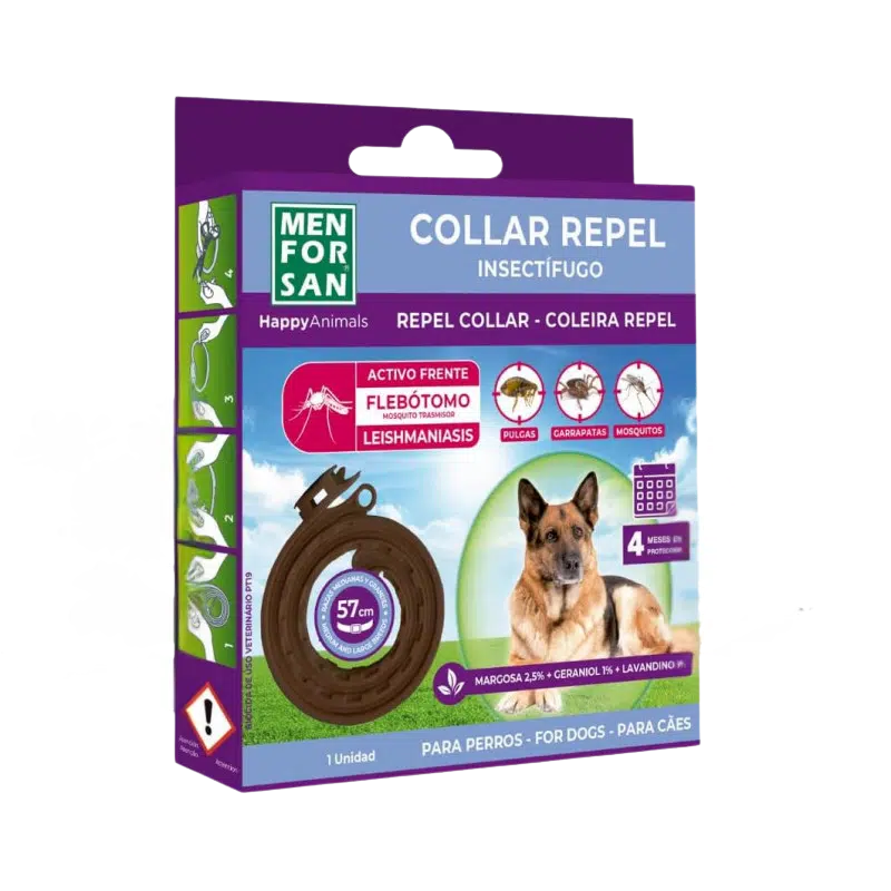 Collier anti puce grand chien