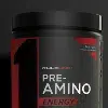 Rule 1 - PRE AMINO ENERGY 252g