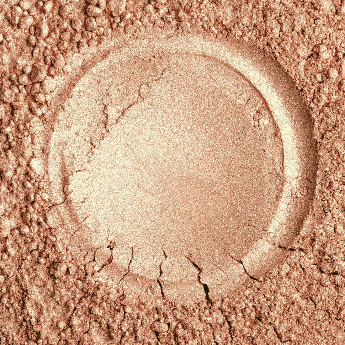 Claraline professional - Highlighter Powder 321 Golden Goddess