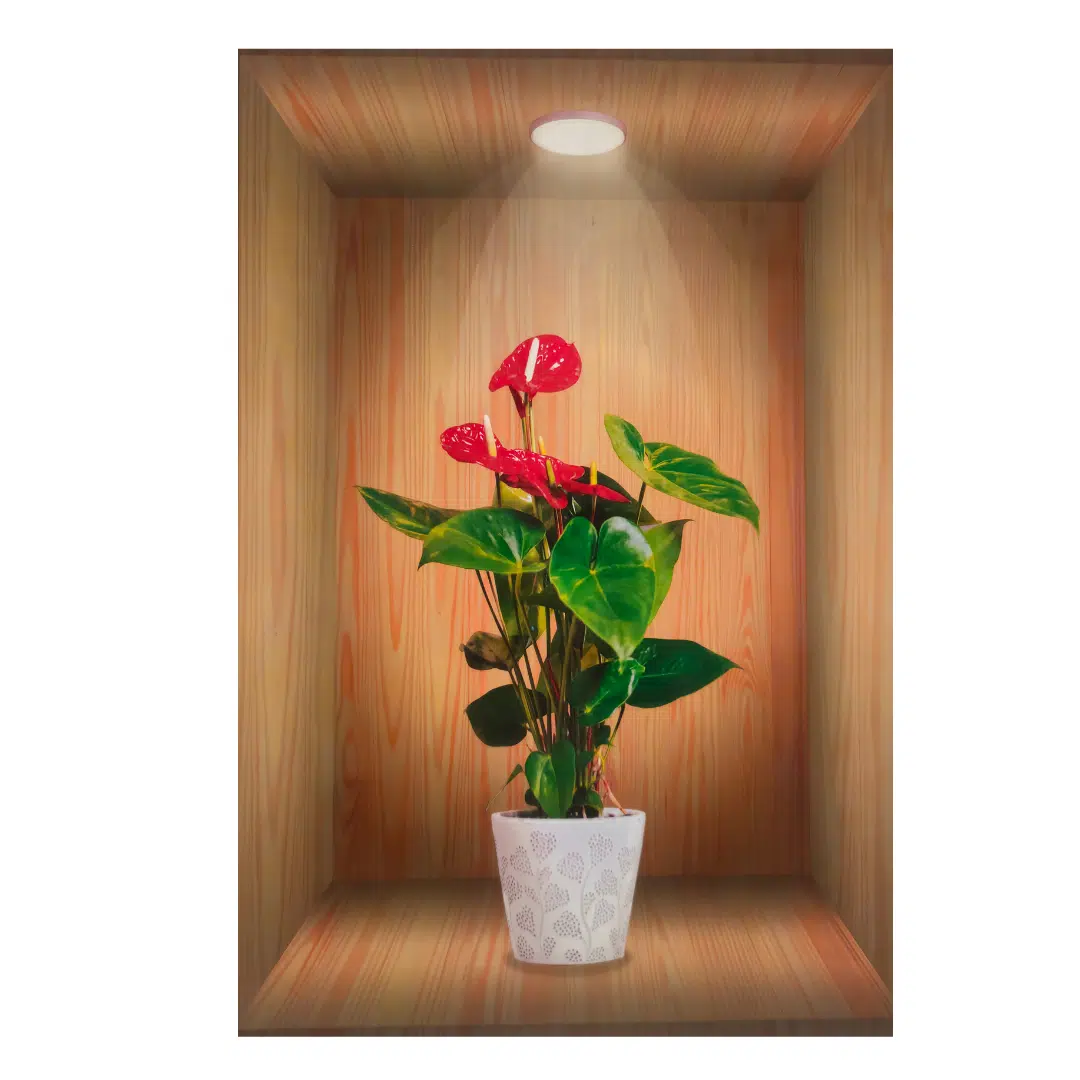 Pack Autocollant cadre 3d