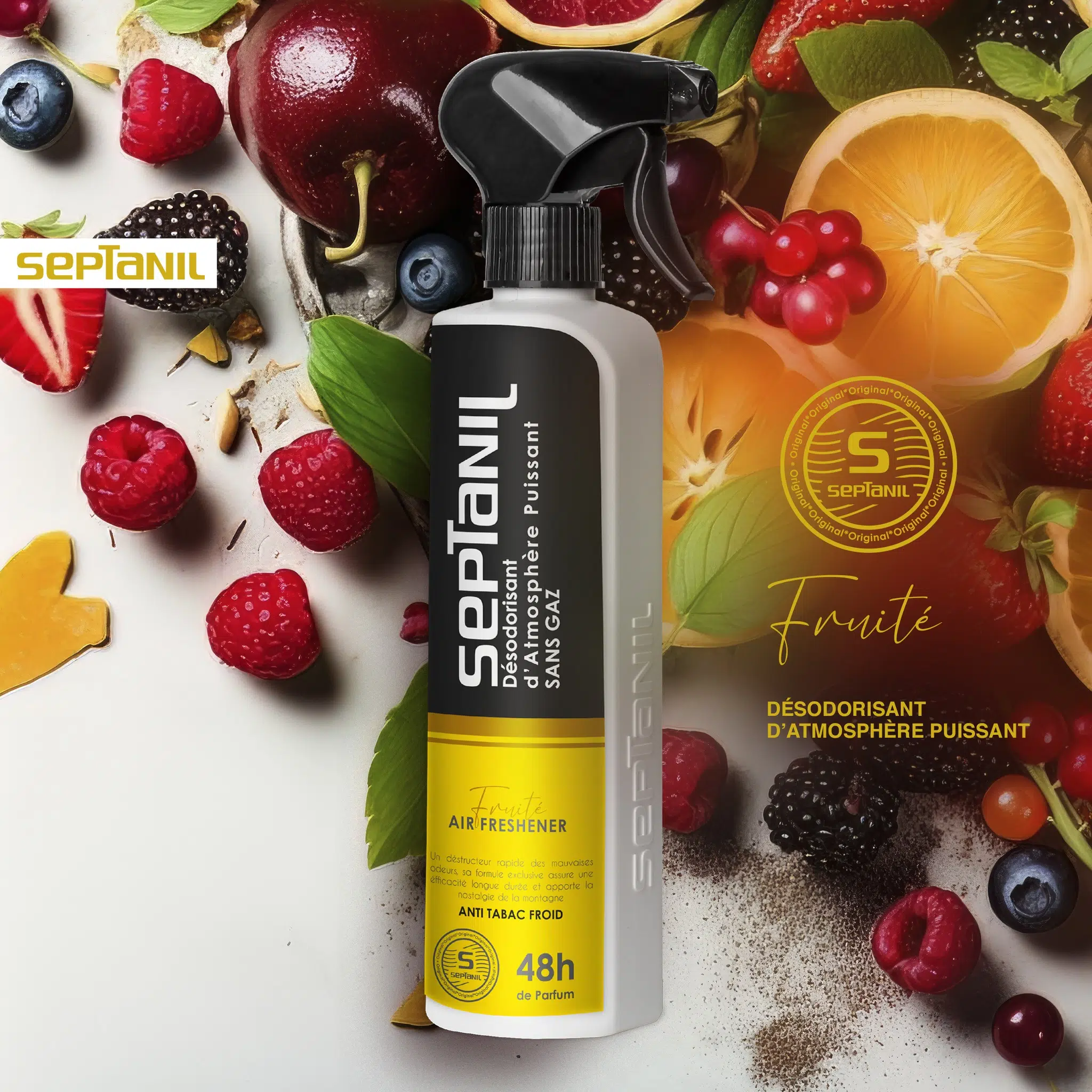 SEPTANIL DESODORISANT D'ATMOSPHERE PUISSANT FRUIT JUTEUX 500ML