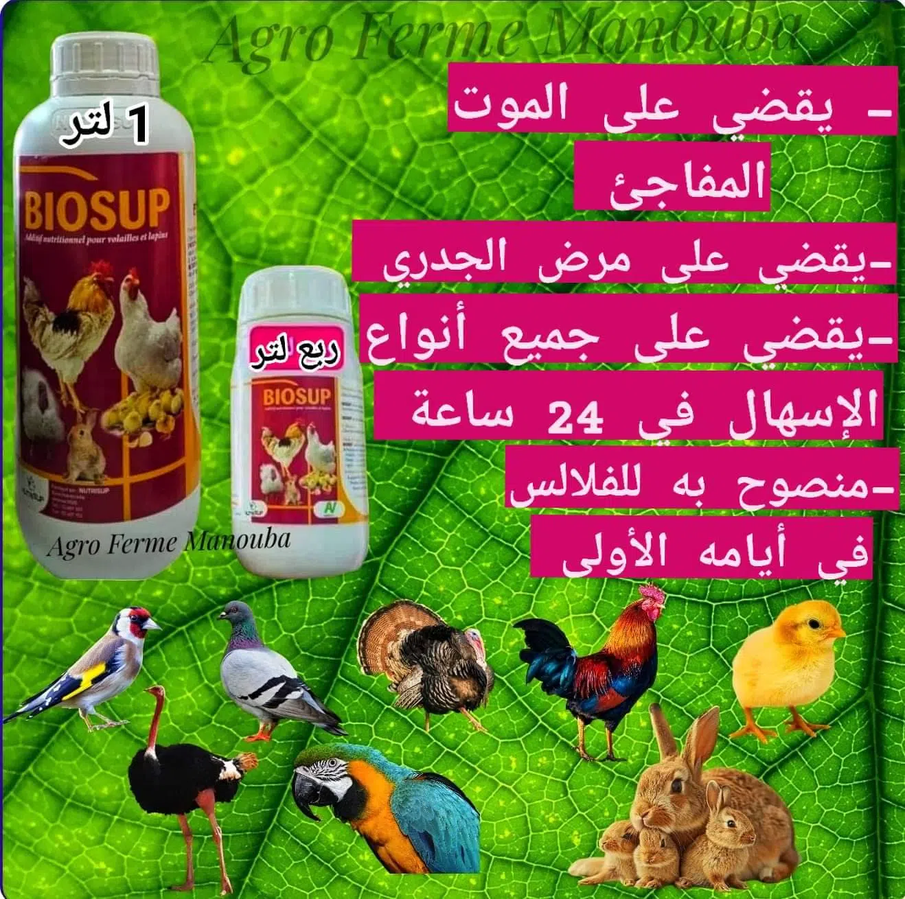 BIOSUP