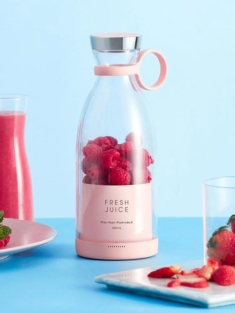Petit Mixeur de fruits Portable