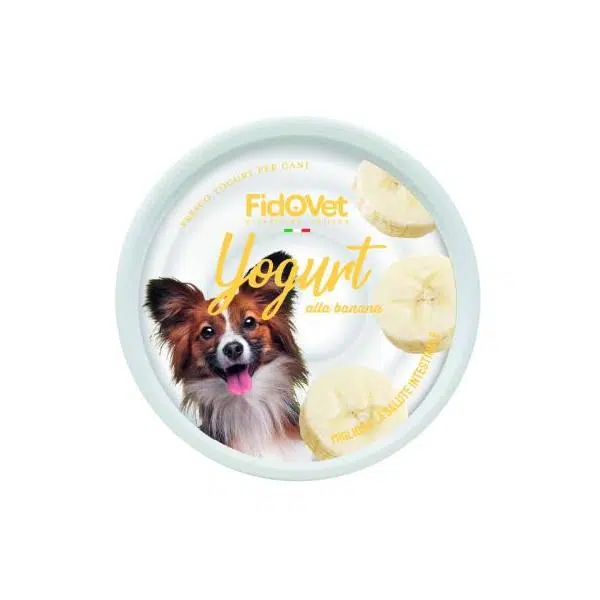 YAOURT BANANE 25GR
