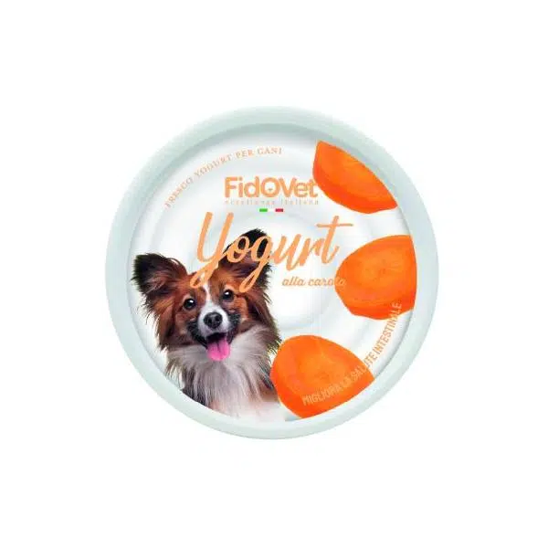 YAOURT CAROTTE 25GR