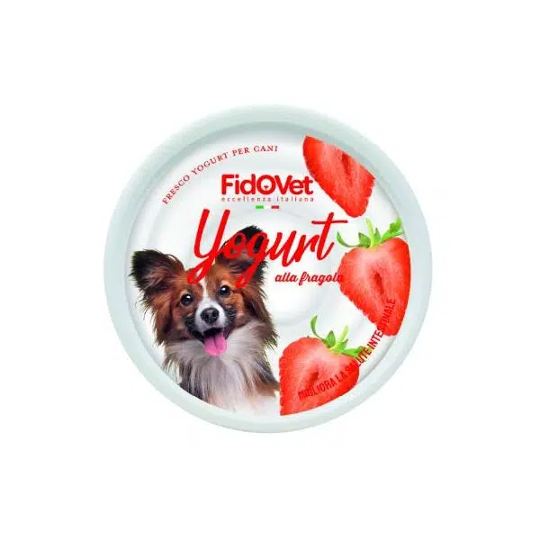 YAOURT FRAISE 25GR