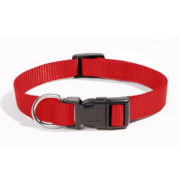 COLLIER NYLON ZANILOVE 16 MM