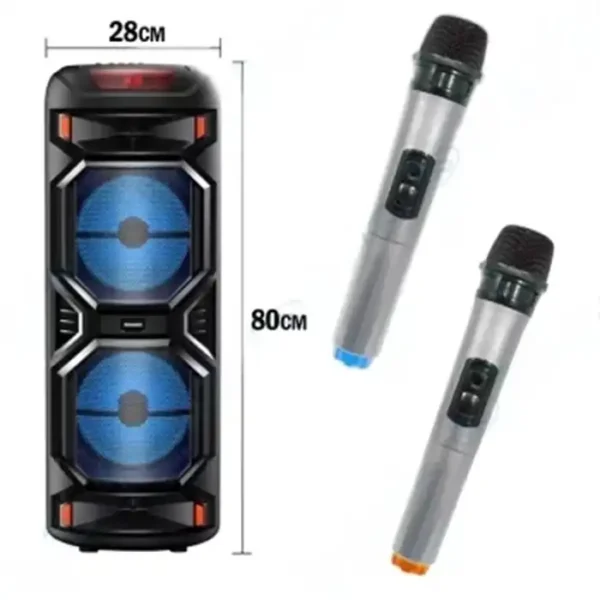 HAUT PARLEUR RECHARGEABLE + DEUX MICRO SANS FIL