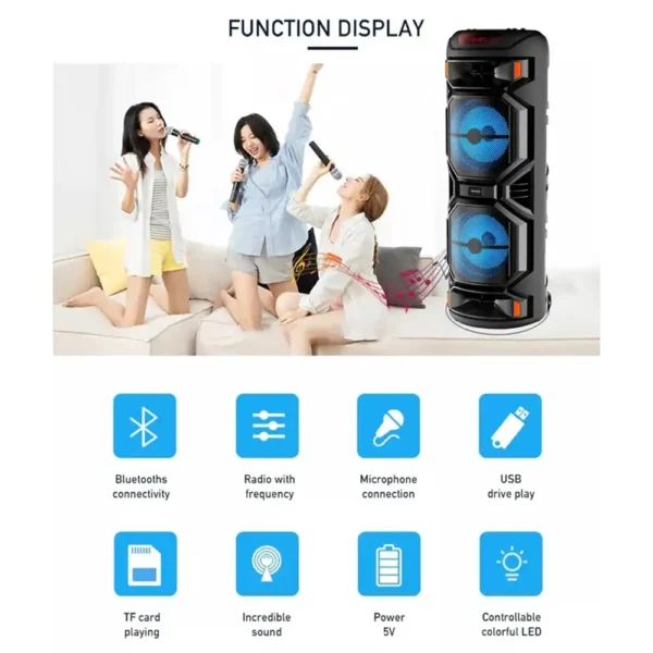 HAUT PARLEUR RECHARGEABLE + DEUX MICRO SANS FIL