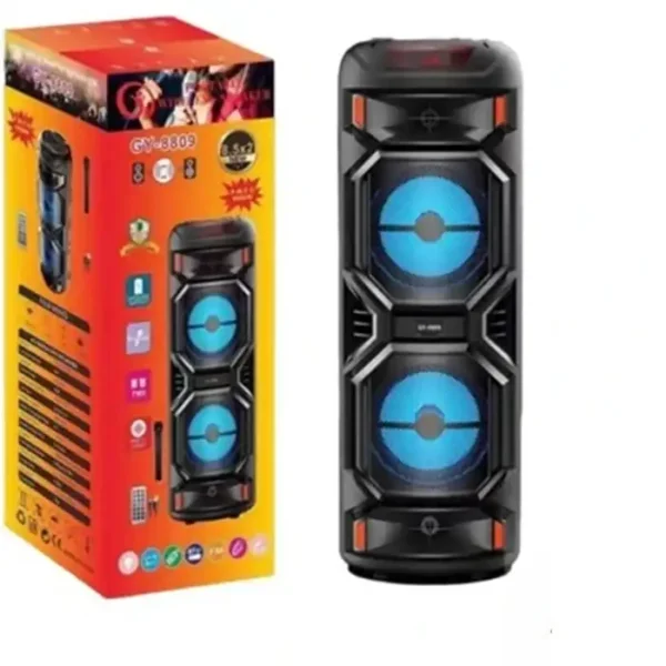 HAUT PARLEUR RECHARGEABLE + DEUX MICRO SANS FIL