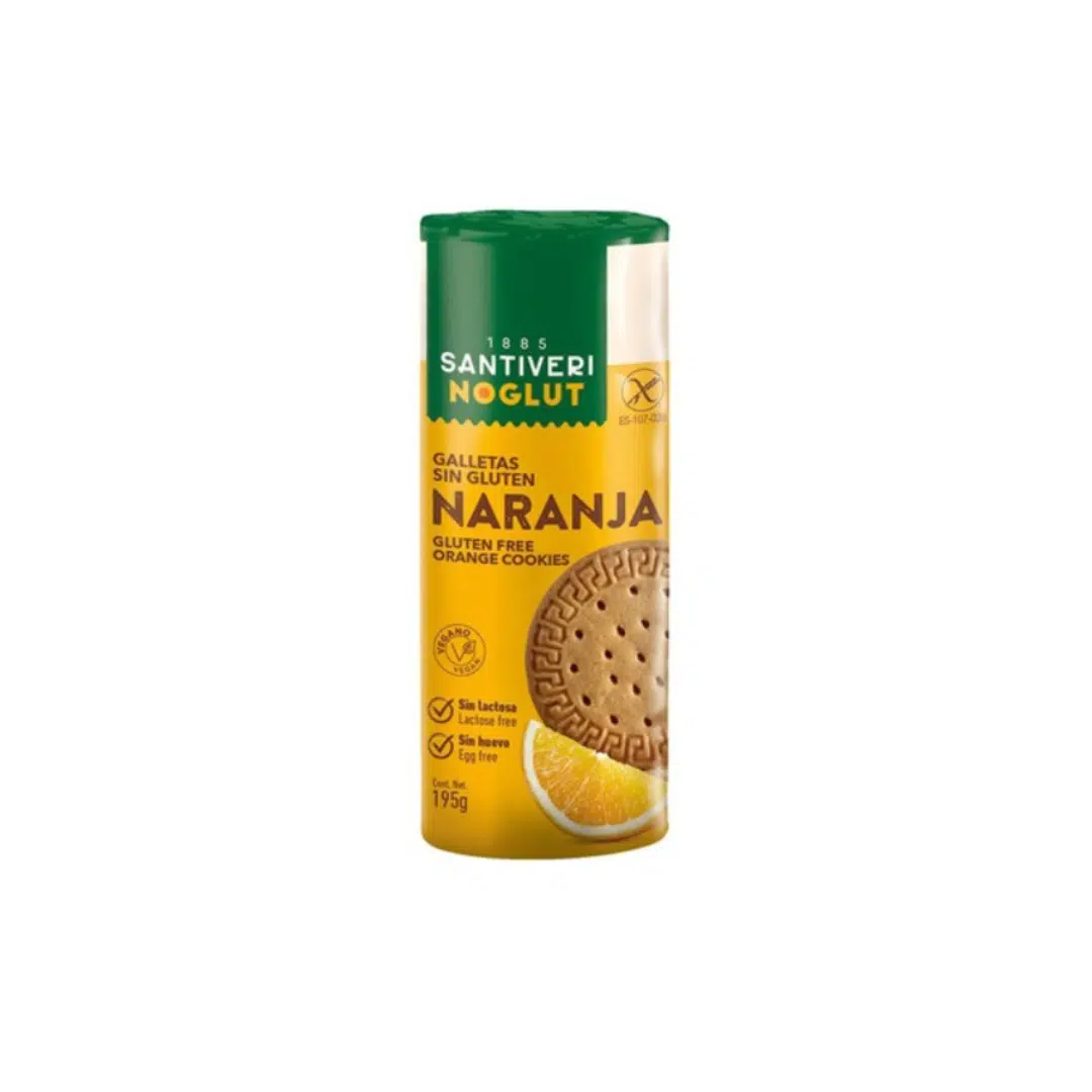 BISCUITS DIG ORANGE 195 GR SANTIVERI