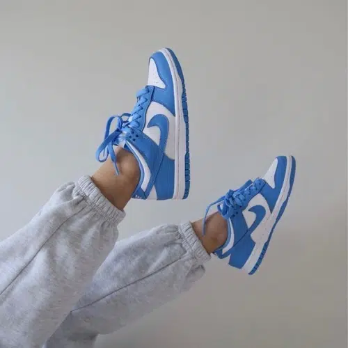 Nike Dunk Low – 5 Coloris, Un Style Inépuisable
