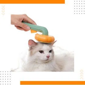 Animalerie