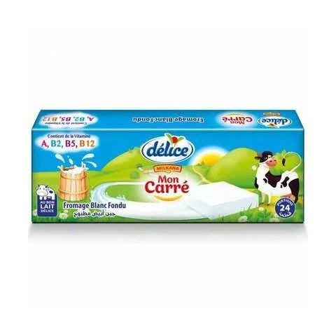 FROMAGE CARRE 24 P DELICE