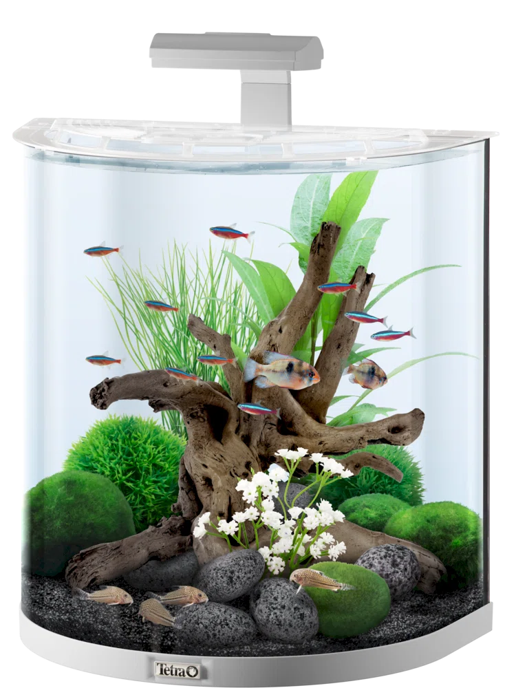 Tetra Explorer Line LED white 60L