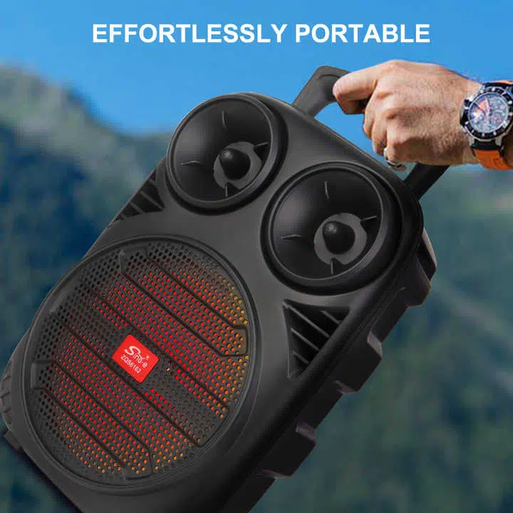 Haut-parleur karaoké Bluetooth Portable RGB