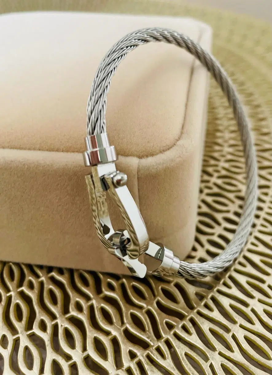 Bracelet titane Argenté