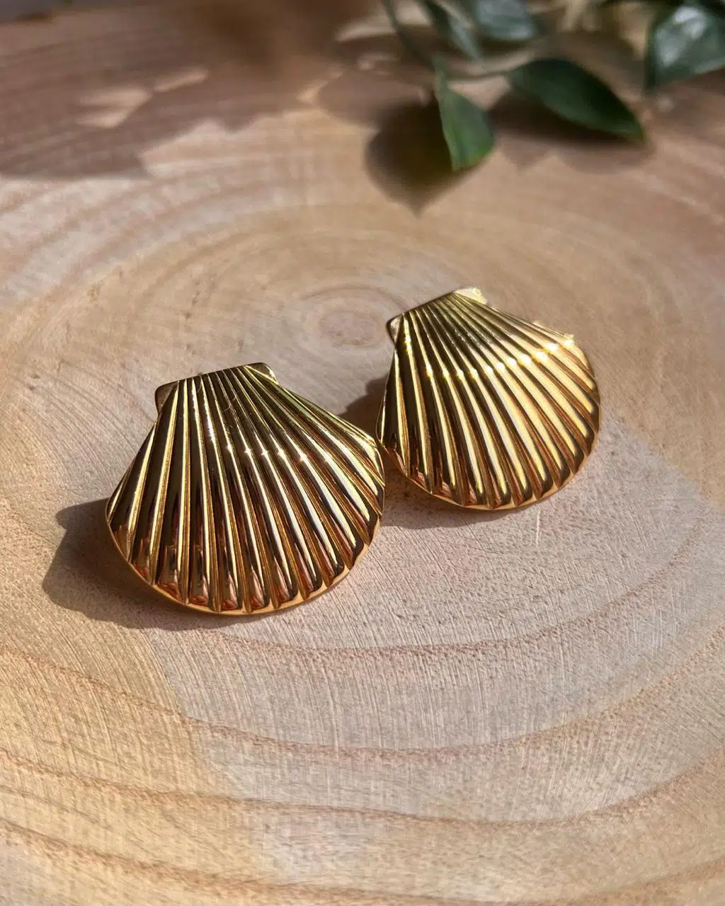Boucles Coquillage