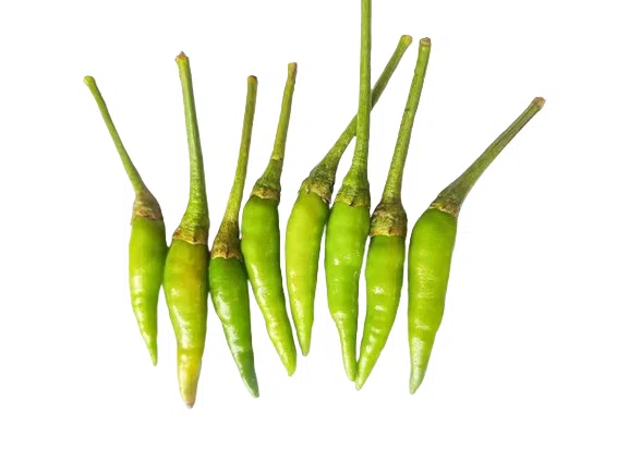 PIMENT_DE_CAYENNE_VERT
