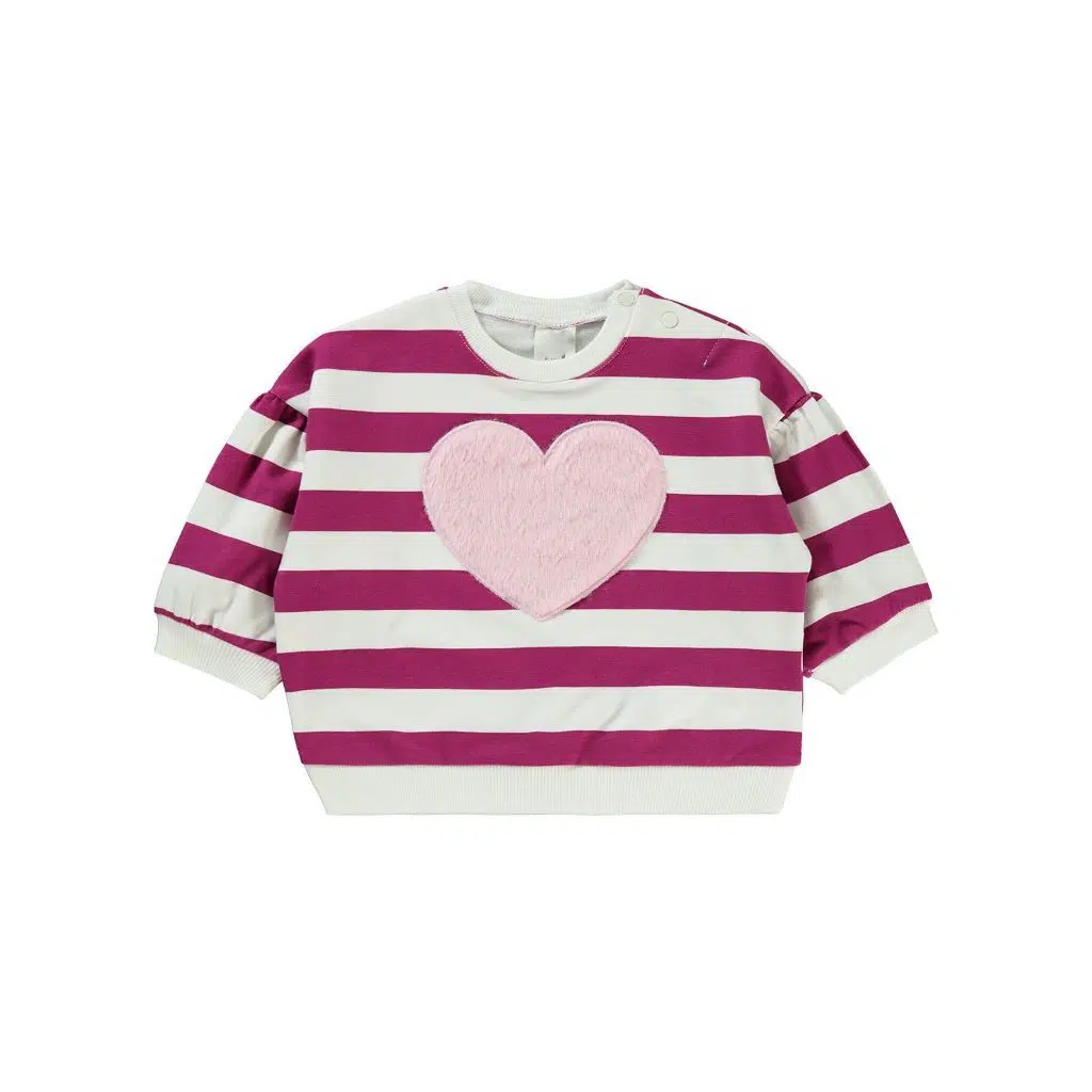 Pull Bébé Fille Sweatshirt – Noir -Rose– Réf H135 (6-18 mois)