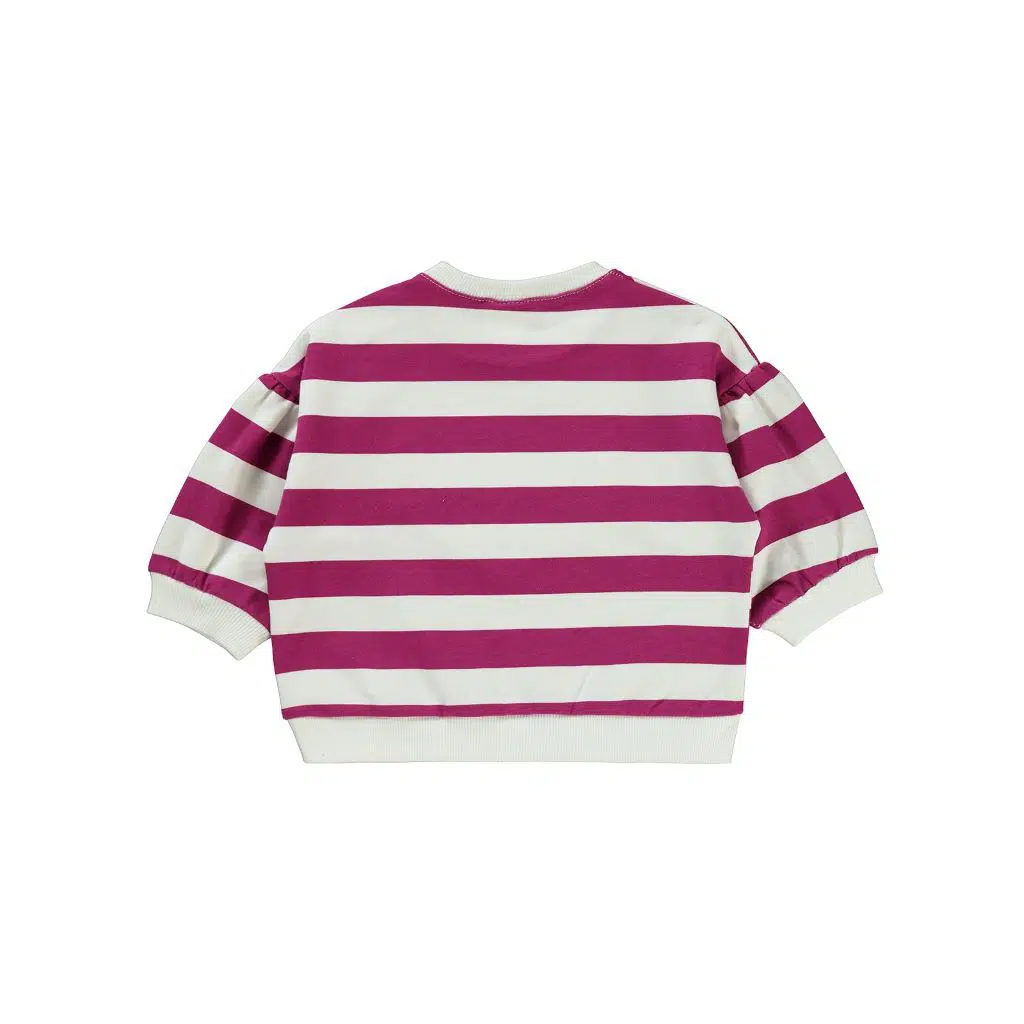 Pull Bébé Fille Sweatshirt – Noir -Rose– Réf H135 (6-18 mois)