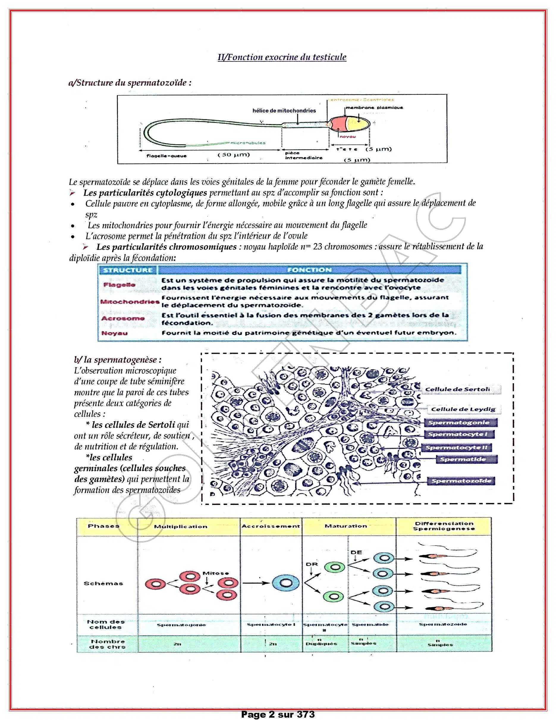 SVT - 1ER TRIMESTRE - BAC SC.EXP