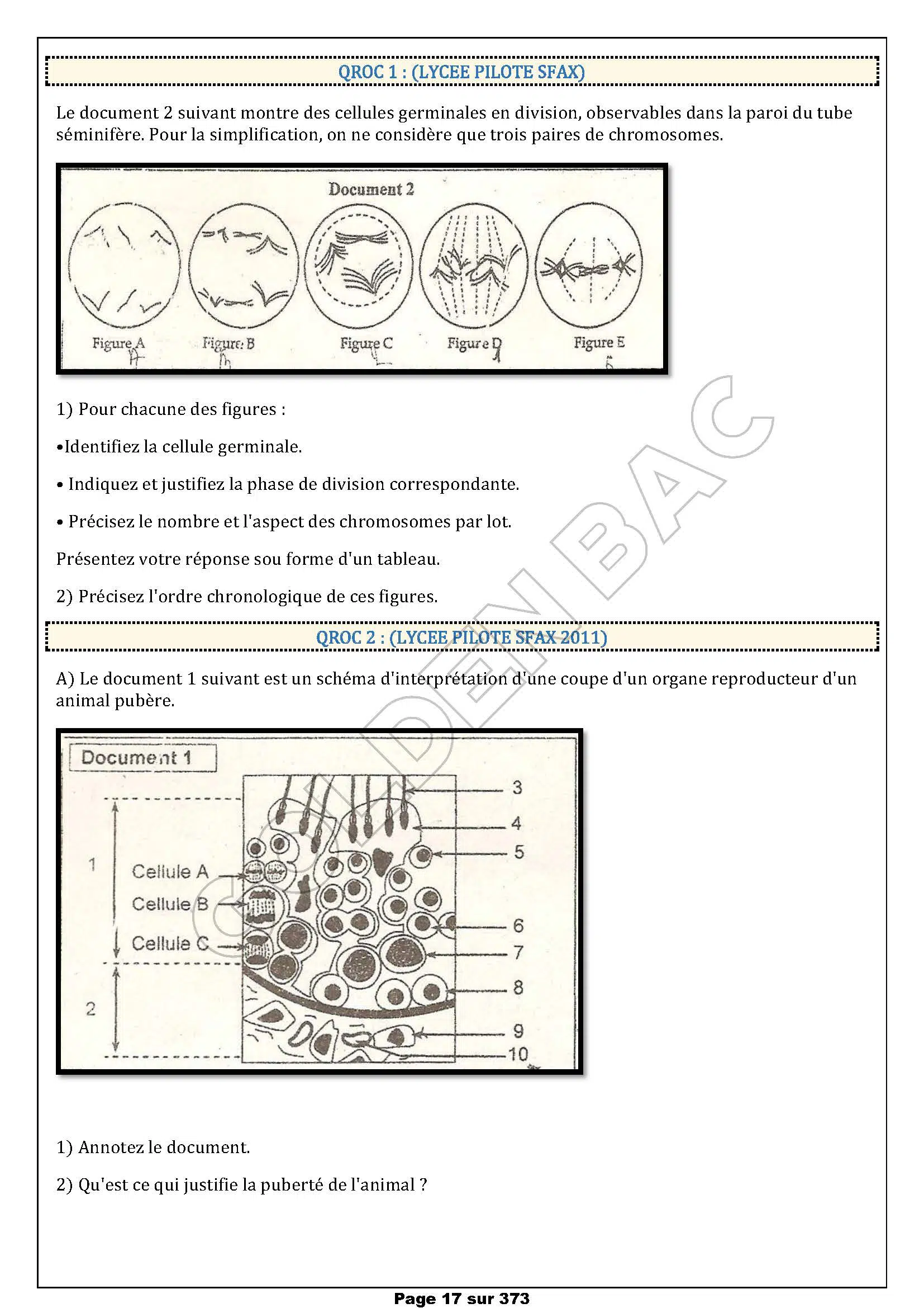 SVT - 1ER TRIMESTRE - BAC SC.EXP