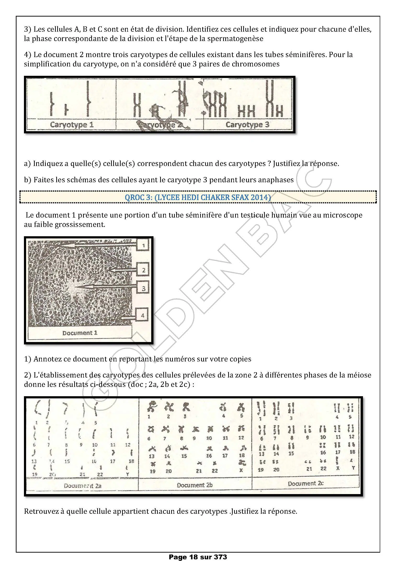 SVT - 1ER TRIMESTRE - BAC SC.EXP