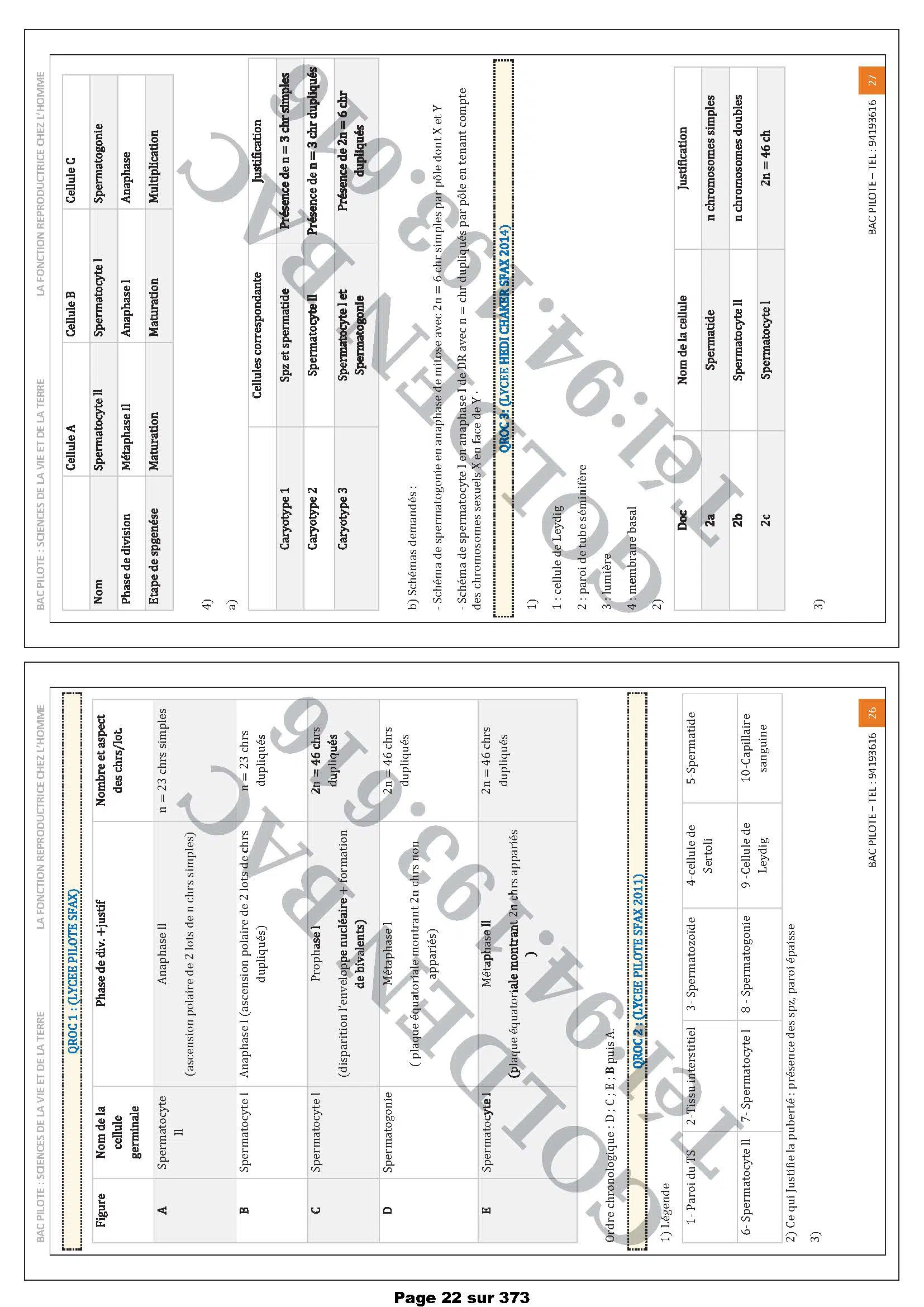 SVT - 1ER TRIMESTRE - BAC SC.EXP
