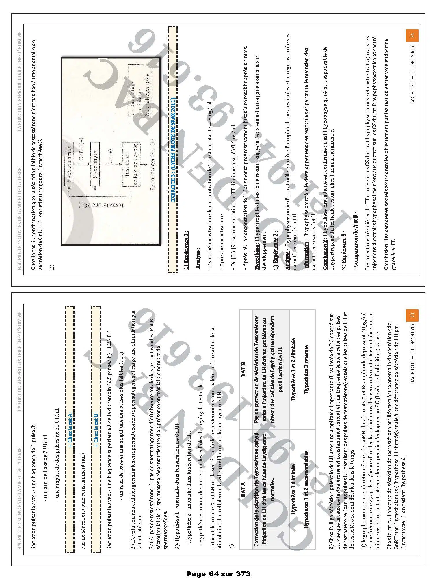 SVT - 1ER TRIMESTRE - BAC SC.EXP