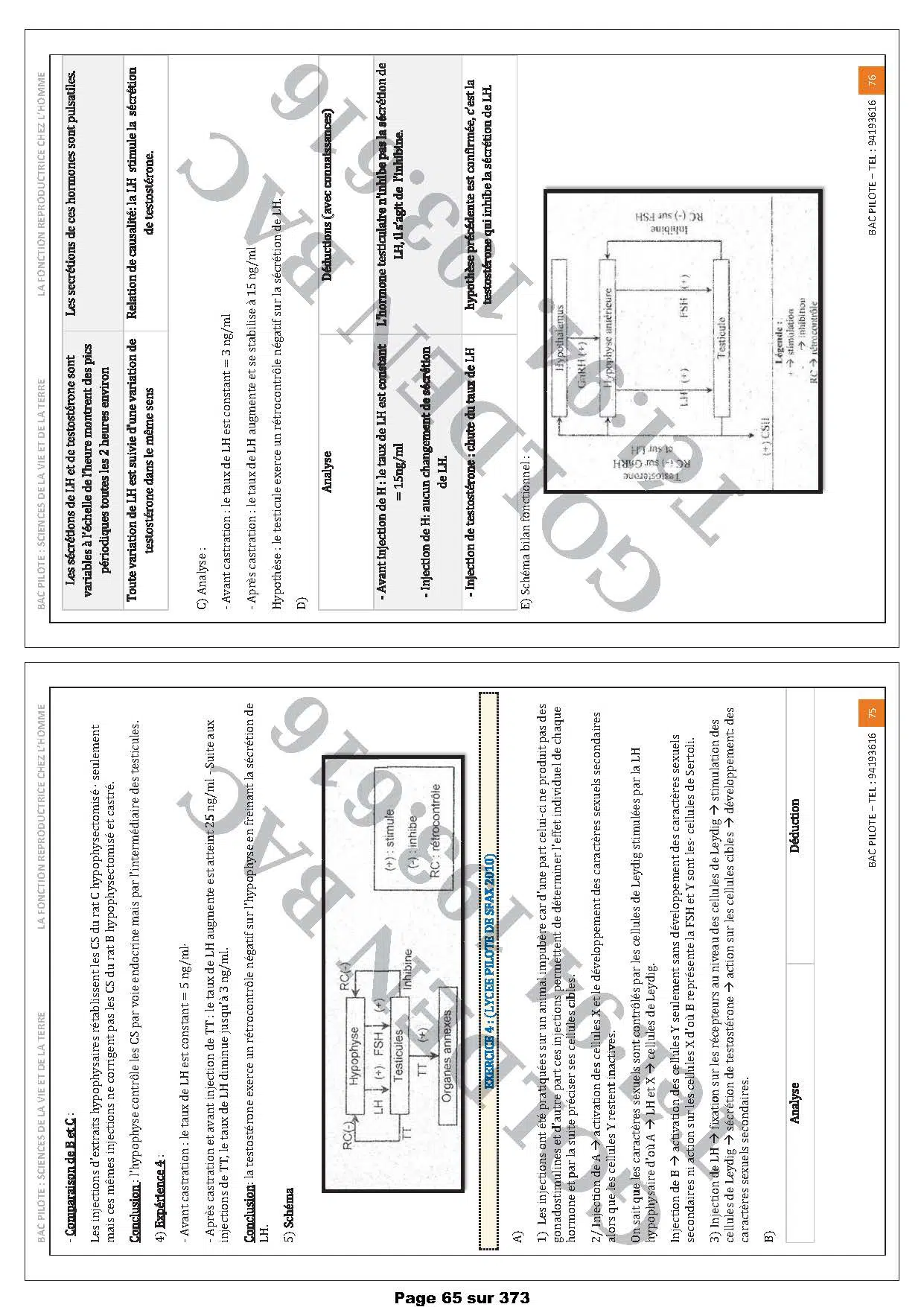 SVT - 1ER TRIMESTRE - BAC SC.EXP