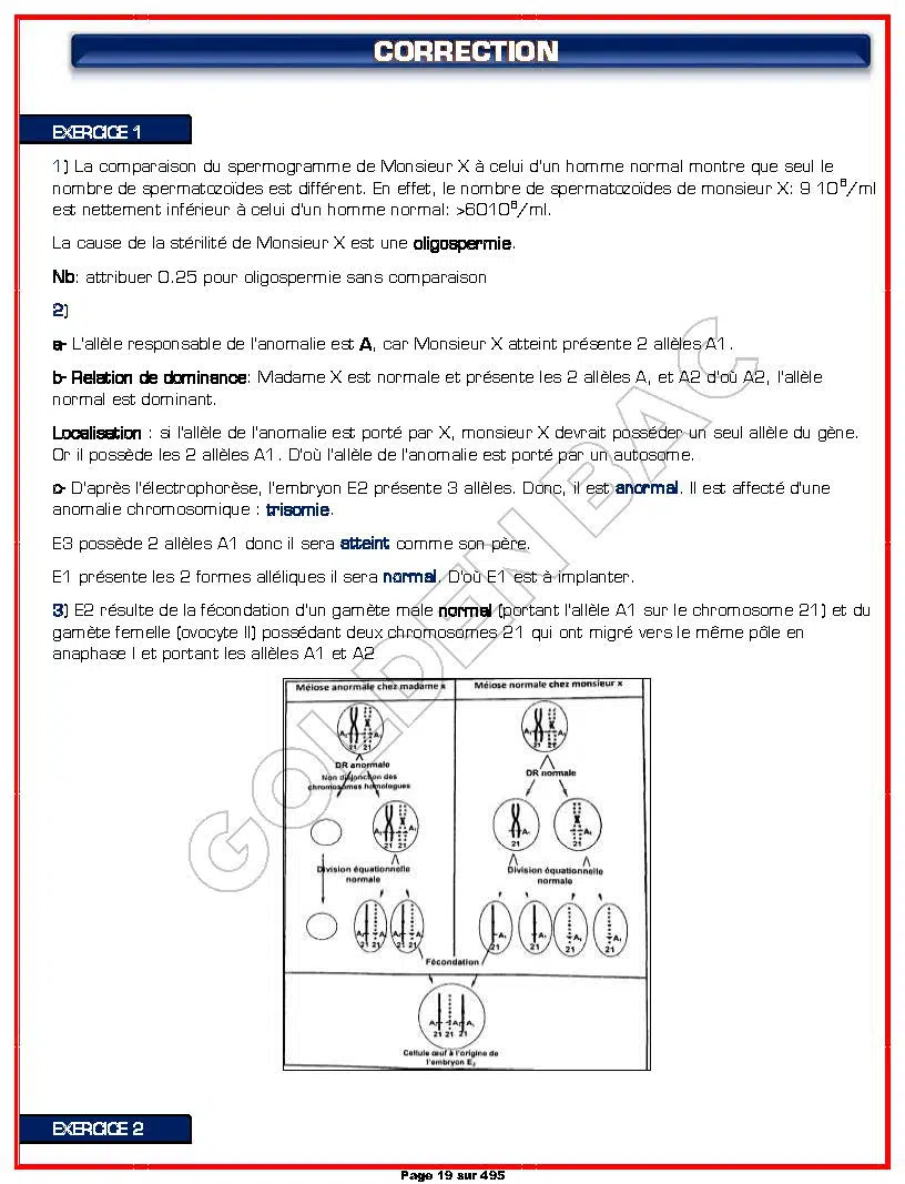 SVT - 2EME ET 3EME TRIMESTRE - BAC SC.EXP