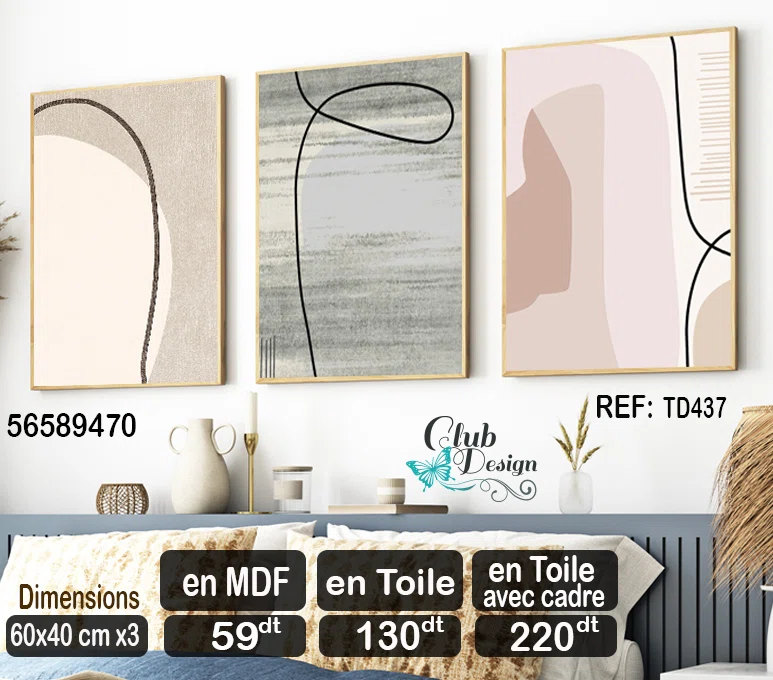 Tableaux Décoratif 3 pièces - (60x40)cm x3 - TD437