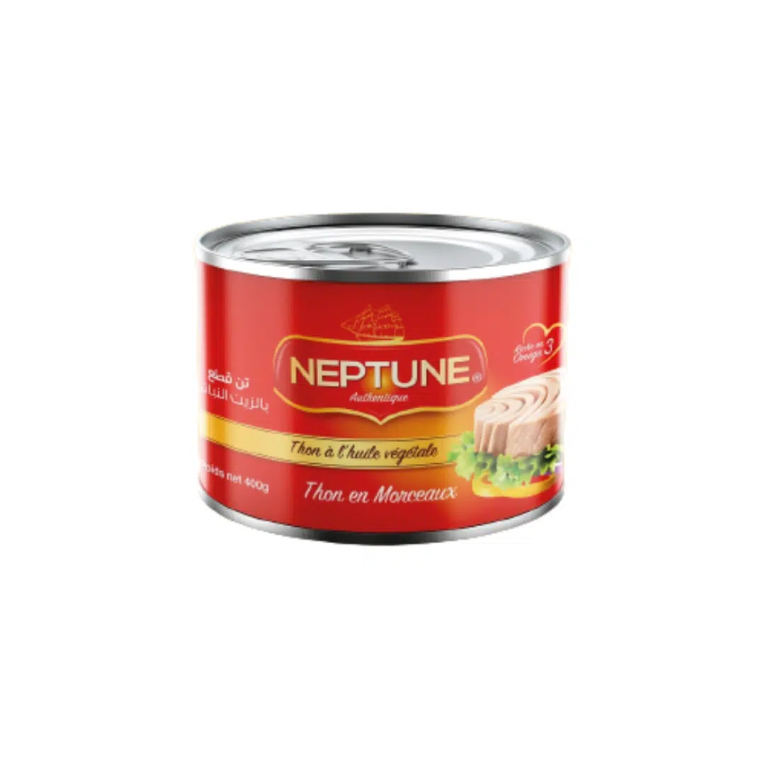 THON HV 400 GR NEPTUNE