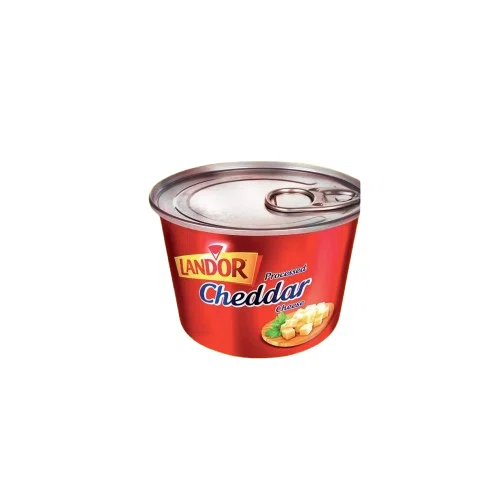 TINS AU CHEDDAR 100 GR LANDOR