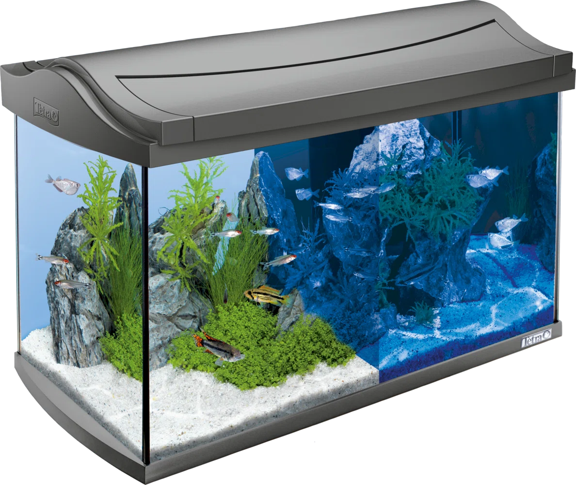 Tetra Aquarium Aqua Art LED Anthracite 60lt