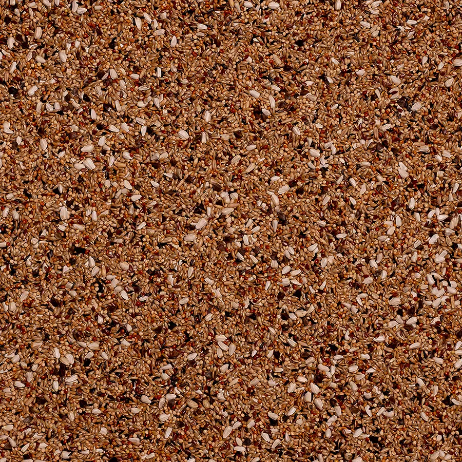 deli nature agapornis