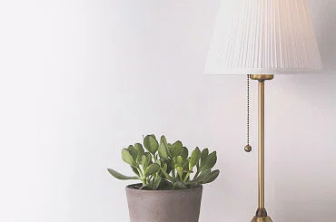 Votre jardin a besoin d'une touche d'amour