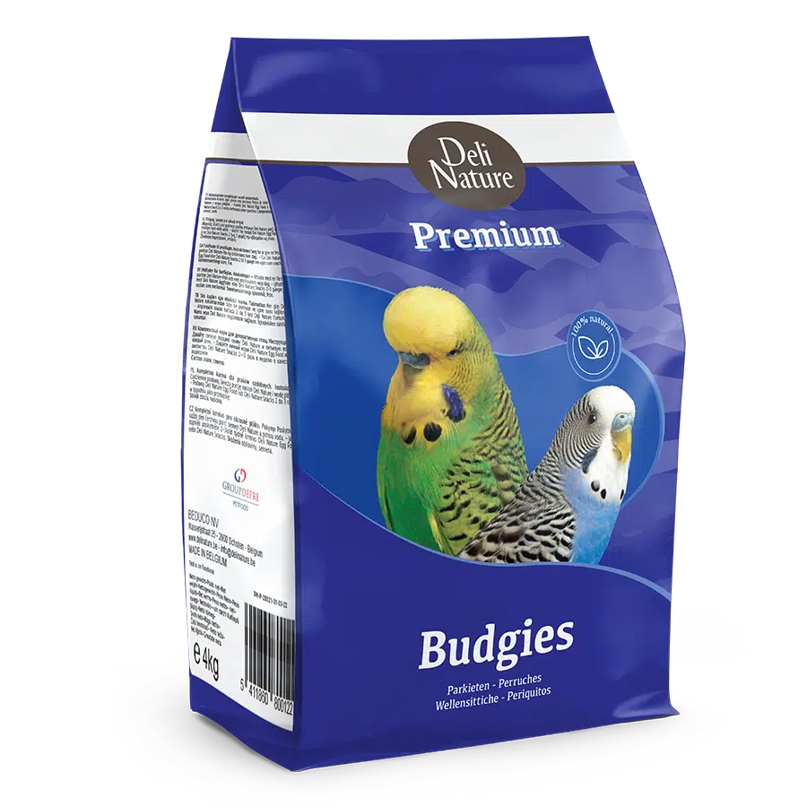 deli nature perruches budgies