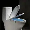 Smart WC