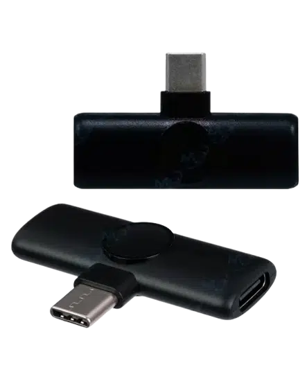 DOUBLE MICROPHONE SANS FIL TYPE-C