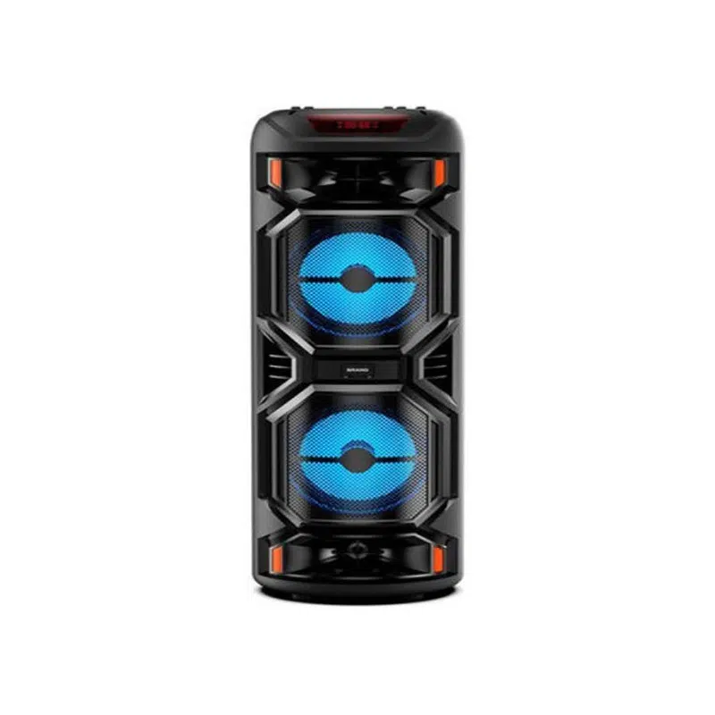 HAUT PARLEUR RECHARGEABLE + DEUX MICRO SANS FIL