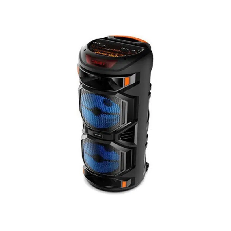 HAUT PARLEUR RECHARGEABLE + DEUX MICRO SANS FIL