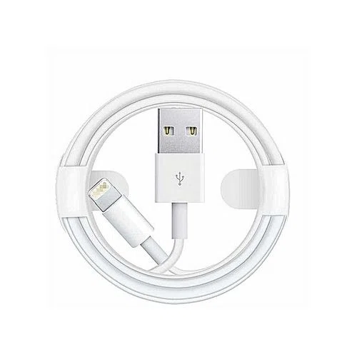 Câble - Pour iPhone X 8 7 6 5 SE, iPad - Câble USB - 1M